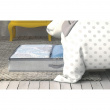 Box under-bed storage, ALDO, 91 x 53 x H 13 cm, Grey Box under-bed storage, ALDO, 91 x 53 x H 13 cm, Grey