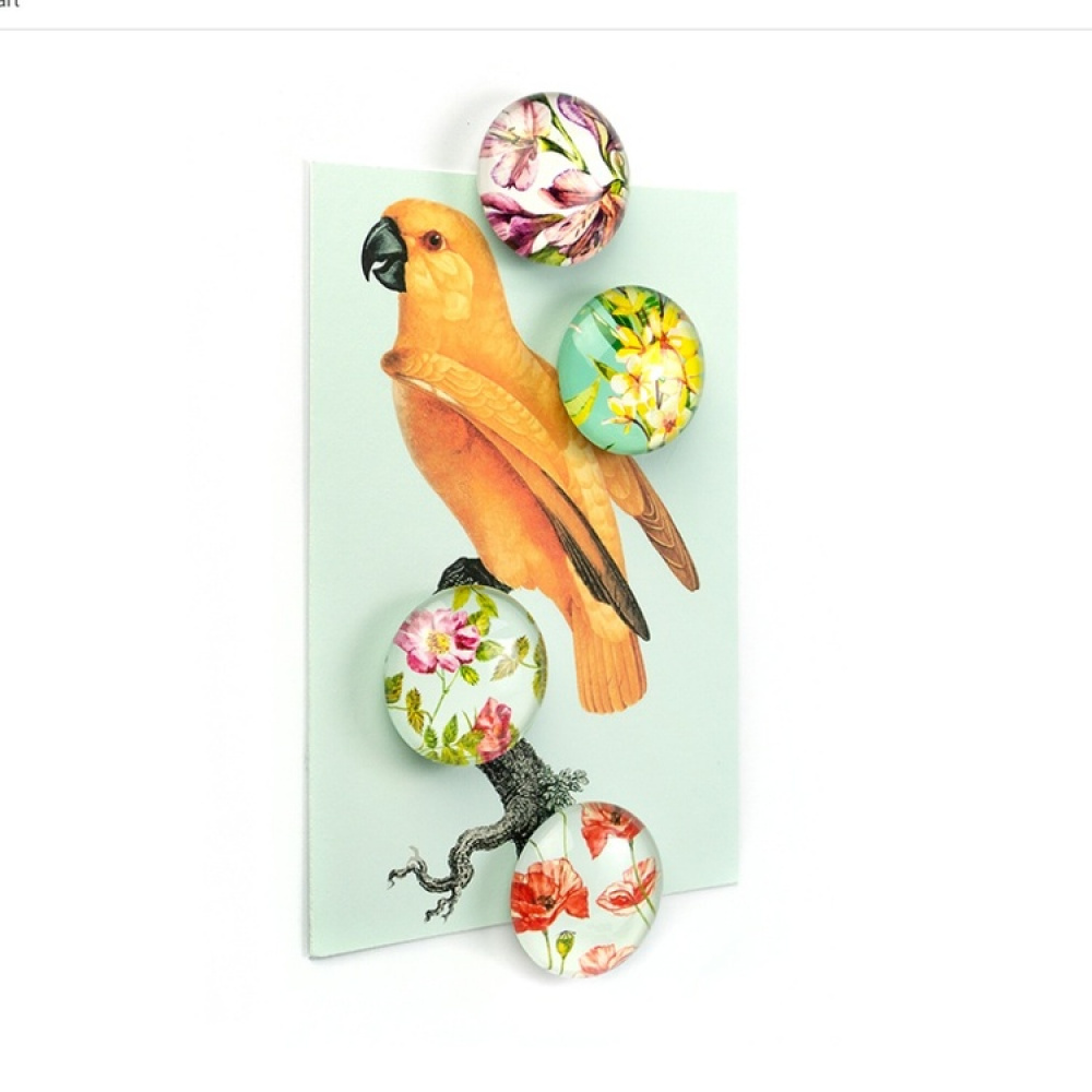 Magnets, Set of 4, FLOWER, Ø 3,5 cm, Multcolour in the group Storage / Magnets and adhesives at SmartaSaker.se (41965)