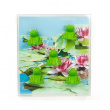 Magnets, set of 5, FROG, Green