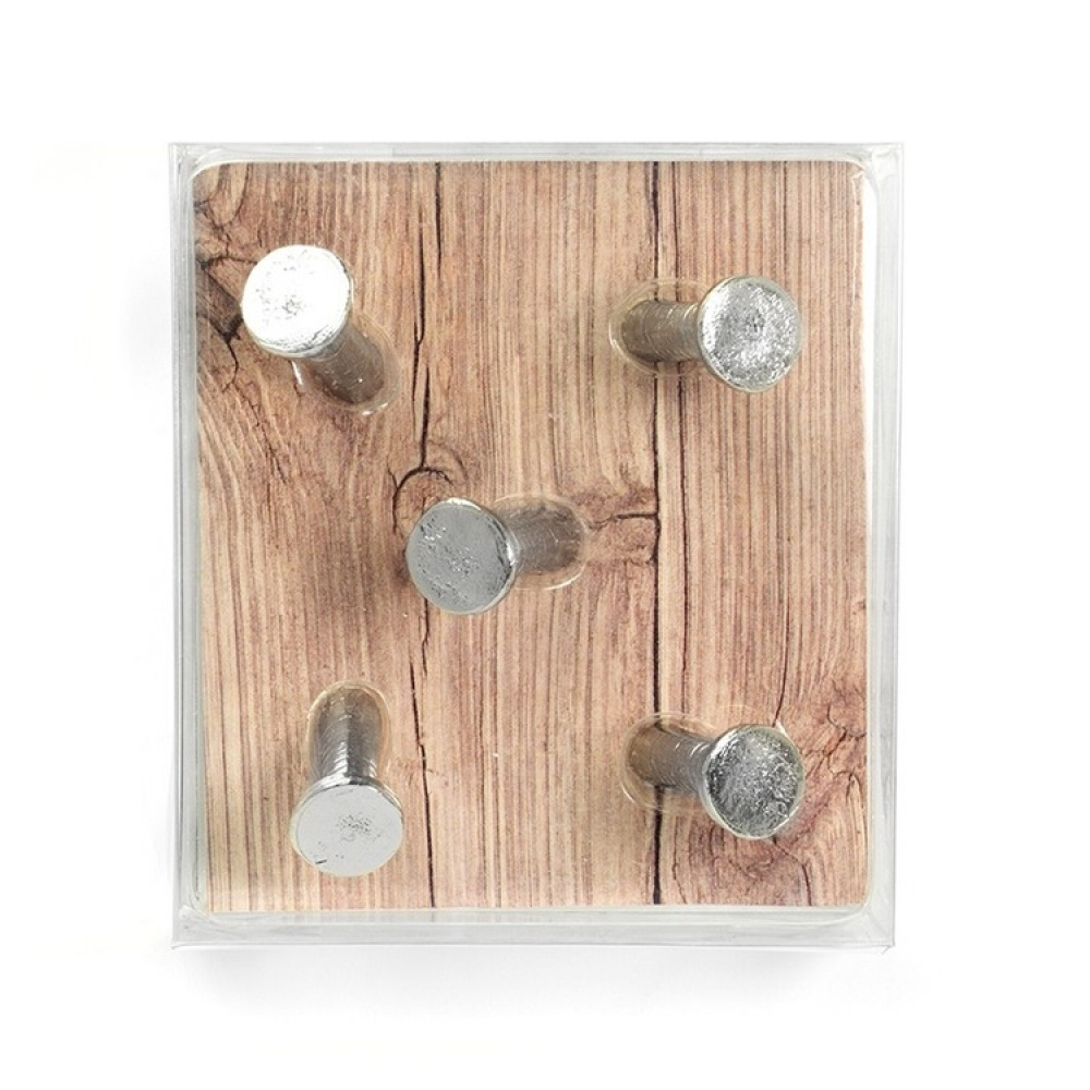 Magnets, set of 5, NAIL, Ø 1,5 x H 2,8 cm, silver in the group Storage / Magnets and adhesives at SmartaSaker.se (41978)