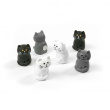 Magnets cats, CAT, set of 6, Assorted