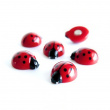 Magnets LADYBUG, set of 6, red Magnets LADYBUG, set of 6, red
