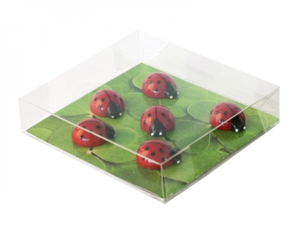 Magnets LADYBUG, set of 6, red in the group Storage / Magnets and adhesives at SmartaSaker.se (41998)