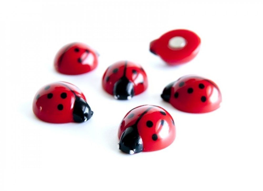 Magnets LADYBUG, set of 6, red in the group Storage / Magnets and adhesives at SmartaSaker.se (41998)