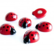 Magnets LADYBUG, set of 6, red Magnets LADYBUG, set of 6, red