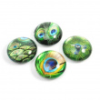 Magnets, Set of 4, PEACOCK, Ø 3,5 cm