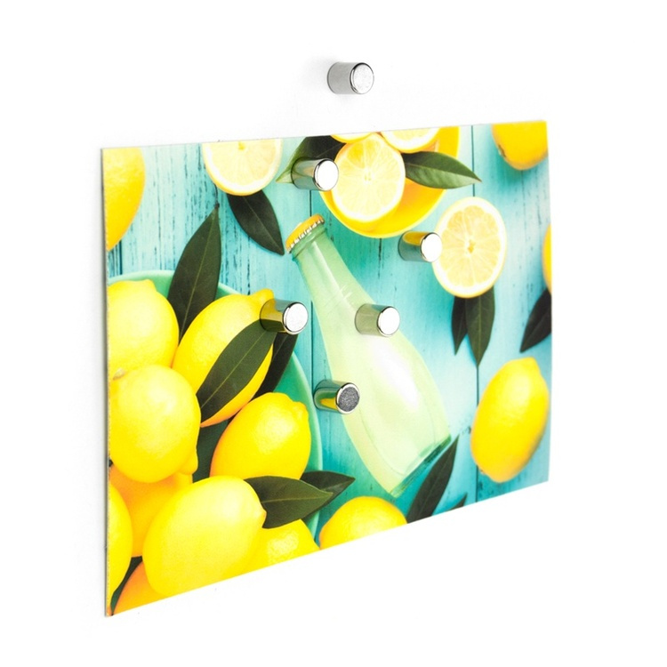 Magnets, Set of 6, BOLT, Ø 0,8 x H 9,8 cm, Silver in the group Storage / Magnets and adhesives / Strong magnets at SmartaSaker.se (42005)