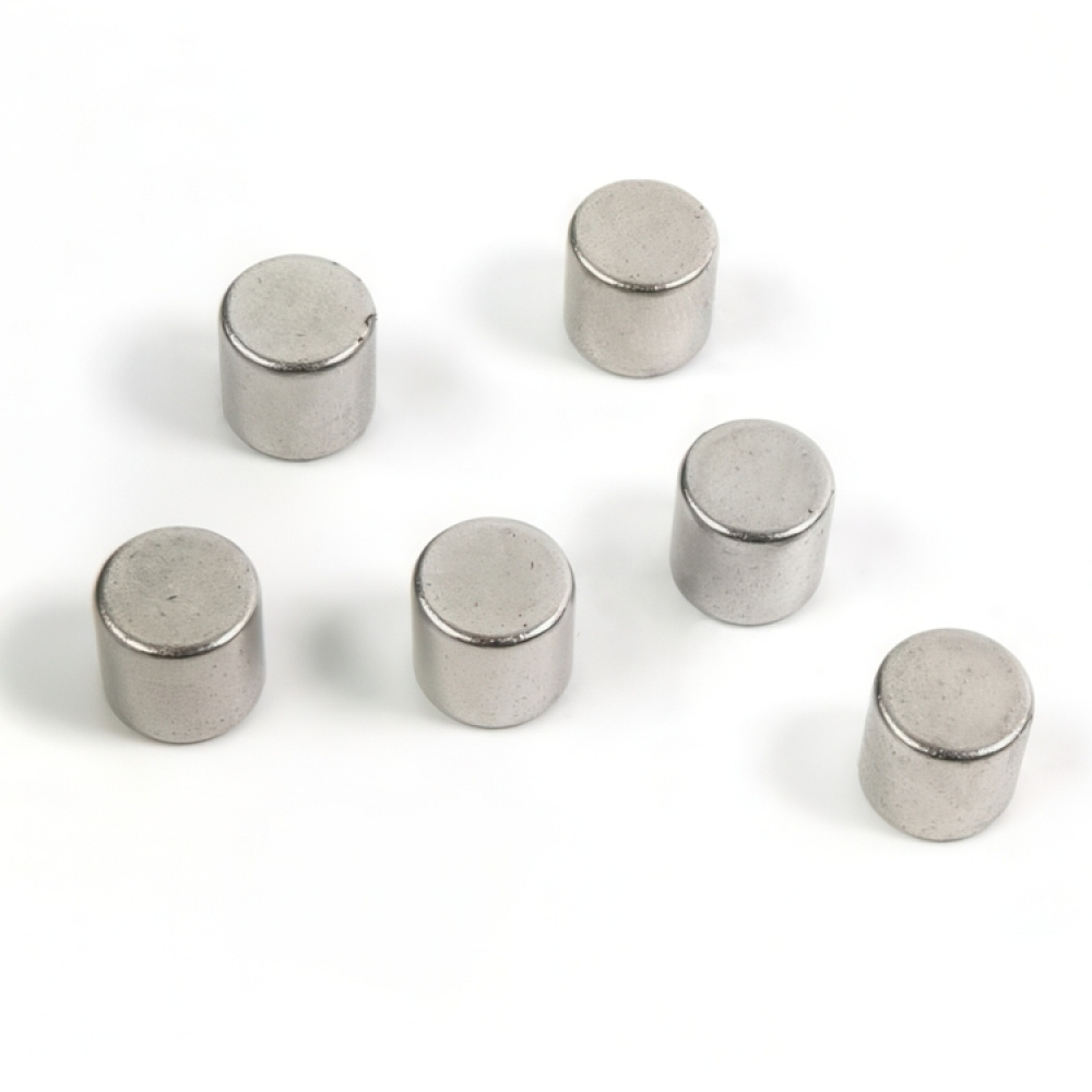 Magnets, Set of 6, BOLT, Ø 0,8 x H 9,8 cm, Silver in the group Storage / Magnets and adhesives / Strong magnets at SmartaSaker.se (42005)