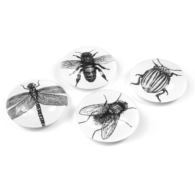 Magnets Set of 4, BUG, Ø 3,5 cm, Black / White in the group Storage / Magnets and adhesives at SmartaSaker.se (42009)