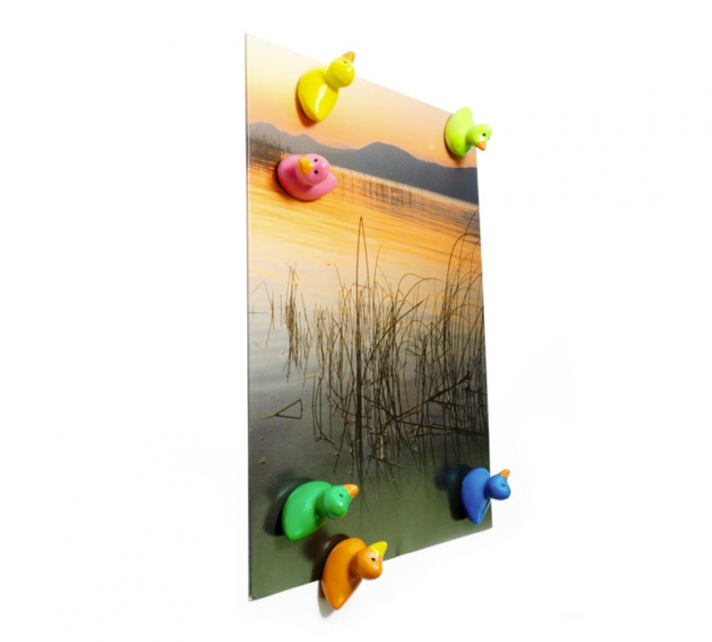 Magnets, Colourful Ducks, Set of 6, DUCK, Assorted in the group Storage / Magnets and adhesives at SmartaSaker.se (42013)