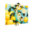Magnets. Set of 5, HONEY BEE, Yellow / Black