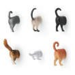 Magnets, Set of 6, CAT BUTTS, Assorted Magnets, Set of 6, CAT BUTTS, Assorted
