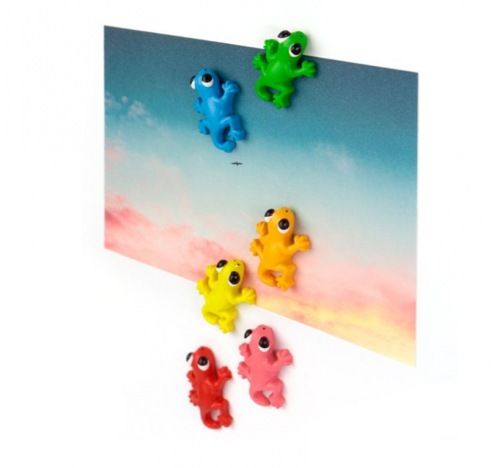 Magnets, Set of 6, GECKO, 3,4 x 2,2 cm, assorted in the group Storage / Magnets and adhesives at SmartaSaker.se (42040)