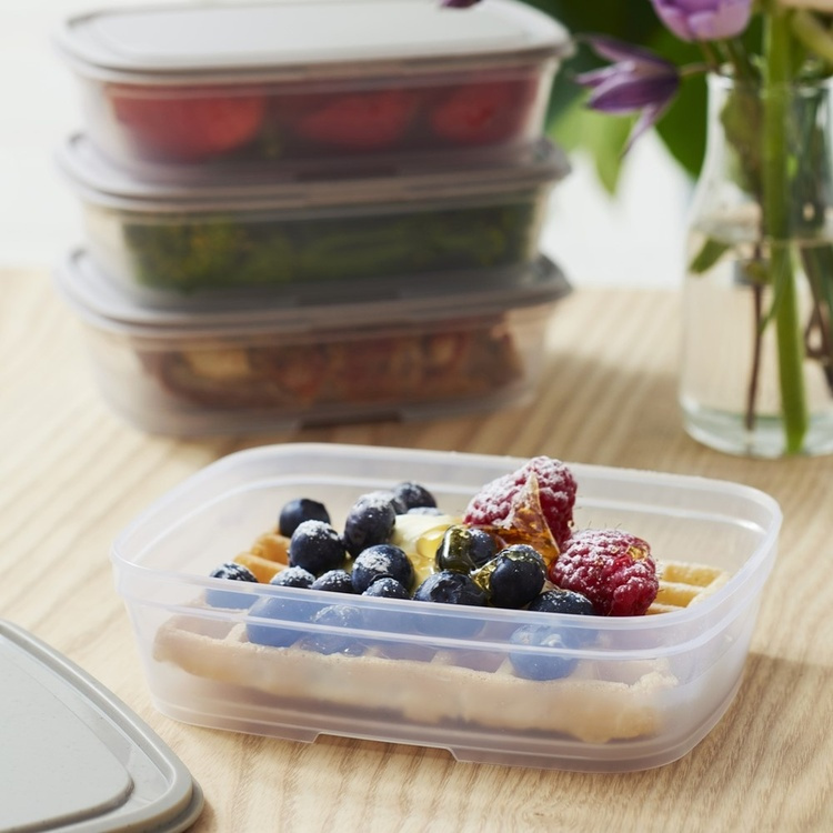 Food storage, 0 ,5 L, SMARTSTORE SUSTAIN, Transparent / Earl grey in the group Storage / Kitchen storage / Food containers / Plastic lunch boxes at SmartaSaker.se (42140)