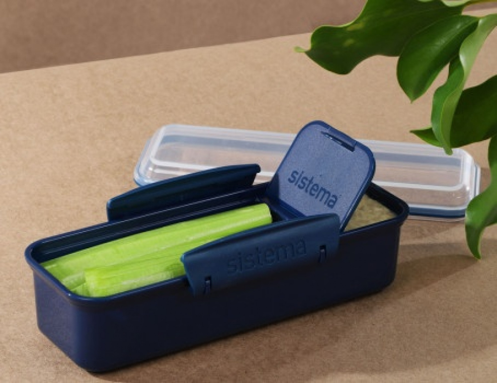 Lunch box with compartment, 410 ml, SNACK ATTACK RENEW, 19 x 8 x H 6 cm, Blue in the group Storage / Kitchen storage / Food containers / SmartStore food containers at SmartaSaker.se (42164)