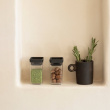 Canisters Set of 2, 0,15L, TASTY+ MINI, Brabantia, Clear / Dark Grey Canisters Set of 2, 0,15L, TASTY+ MINI, Brabantia, Clear / Dark Grey