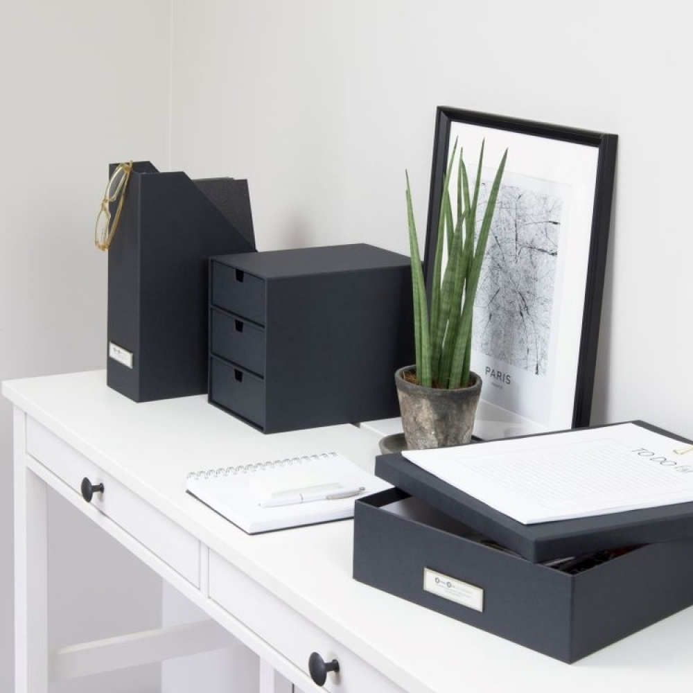 Drawer box storage, Slim, BIGSO INGRID, 25,5 x 16 x H 20,5 cm in the group Storage / Storage boxes / BigSo storage boxes at SmartaSaker.se (42267)
