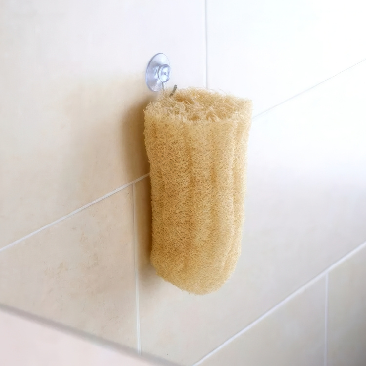 Hook suction cup, MINI HOOK, Ø 3 cm, Clear Silver in the group Storage / Bathroom storage at SmartaSaker.se (42902)