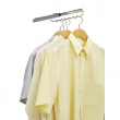Pull Out Hanger for Wardrobe, SCHRANKAUSZUG, Silver Pull Out Hanger for Wardrobe, SCHRANKAUSZUG, Silver