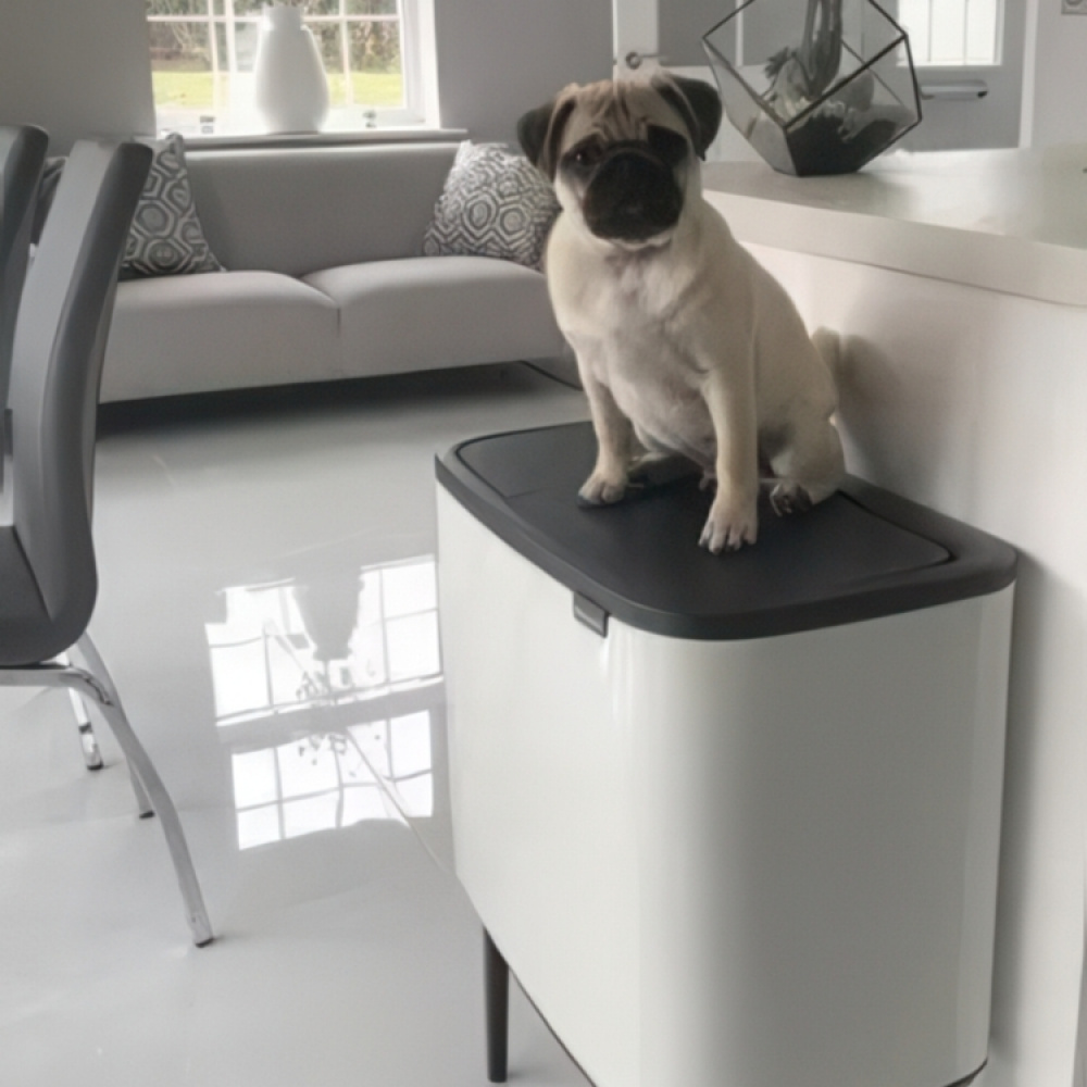 Recycling station on legs with 2 compartments, Brabantia in the group Storage / Cleaning and waste sorting / Waste sorting at SmartaSaker.se (43253)