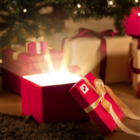 Christmas Gifts